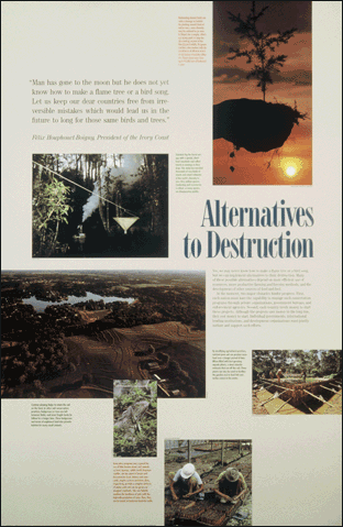 Alternatives to Destruction