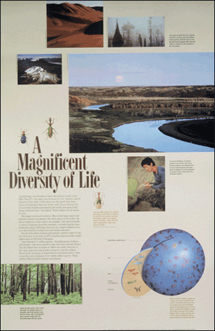 A Magnificent Diversity of Life