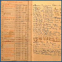 The 1867 pocket diary