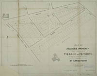 Map of valuable property situated in and adjoining the village of Flushing